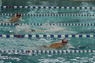 爱游戏-中国游泳运动员世锦赛接力项目表现抢眼，中国游泳接力夺金